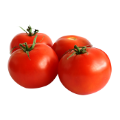 SMA OPTIPRO 1-800GR/0-6 AY BEBEK SUTU