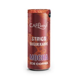 CAFEKEYF 250ML MOCHA SOGUK KAHVE