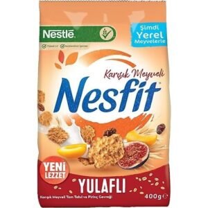 NESTLE NESFIT KARISIK MEYVE 400GR