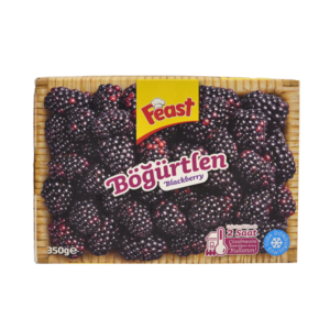 FEAST DONMUS BOGURTLEN 350GR