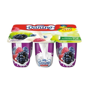 PETIT DANINO ORMAN MEYVELI 6*40