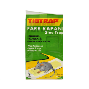 TIBTRAB FARE KAPANI